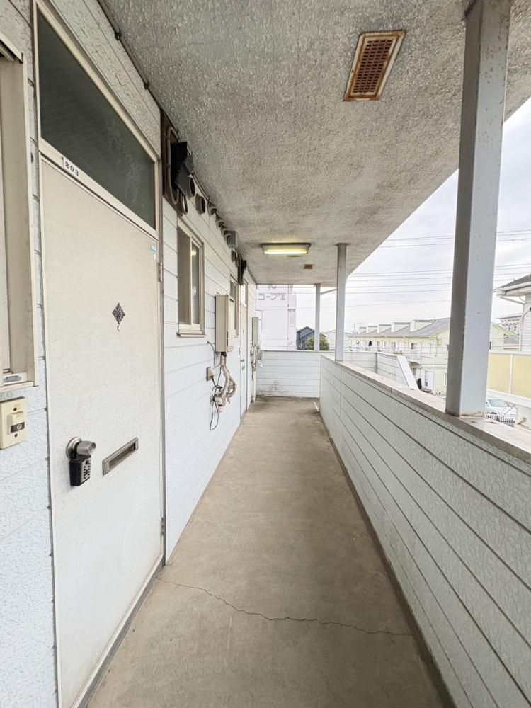 �y���̑����L�����z�@