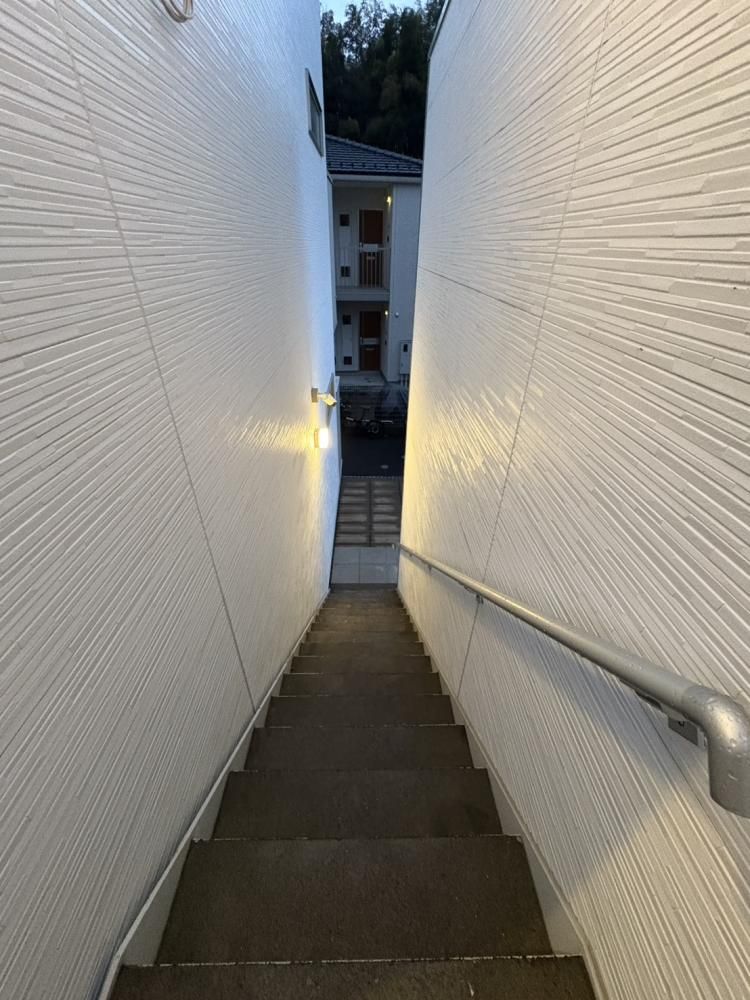 �y���̑����L�����z�@