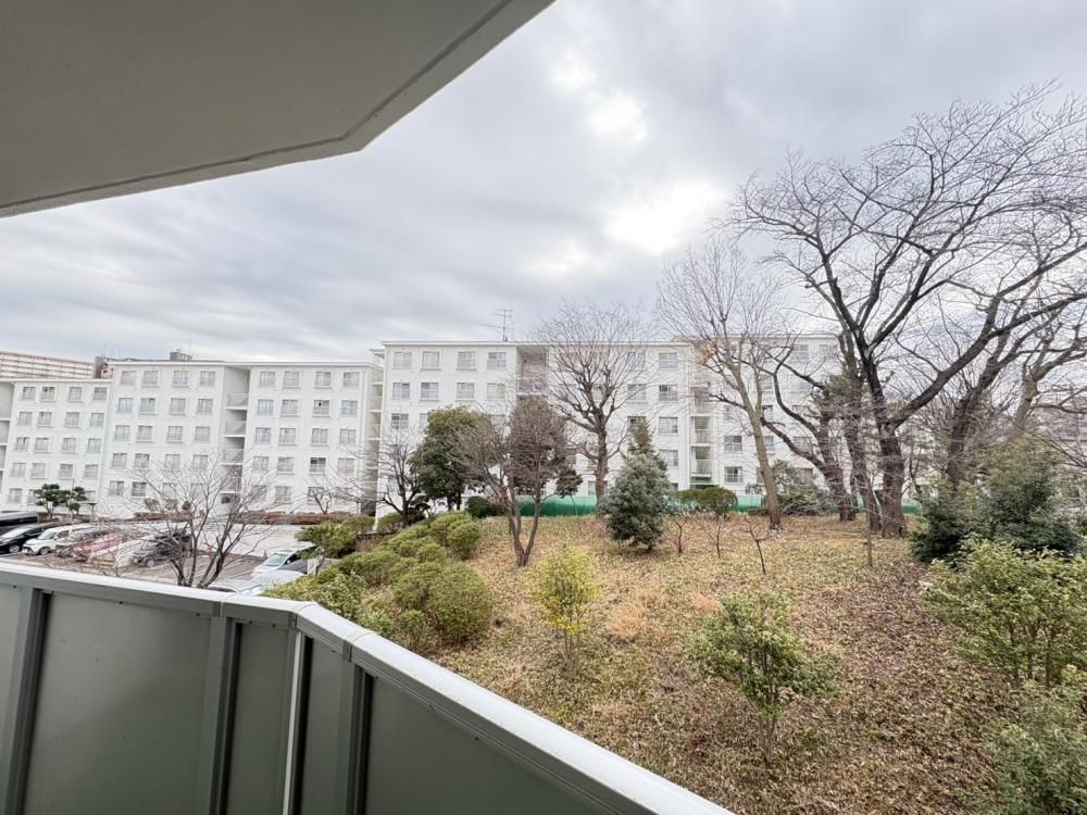 �y���]�z�@