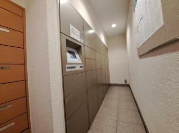 �y���̑����L�����z�@