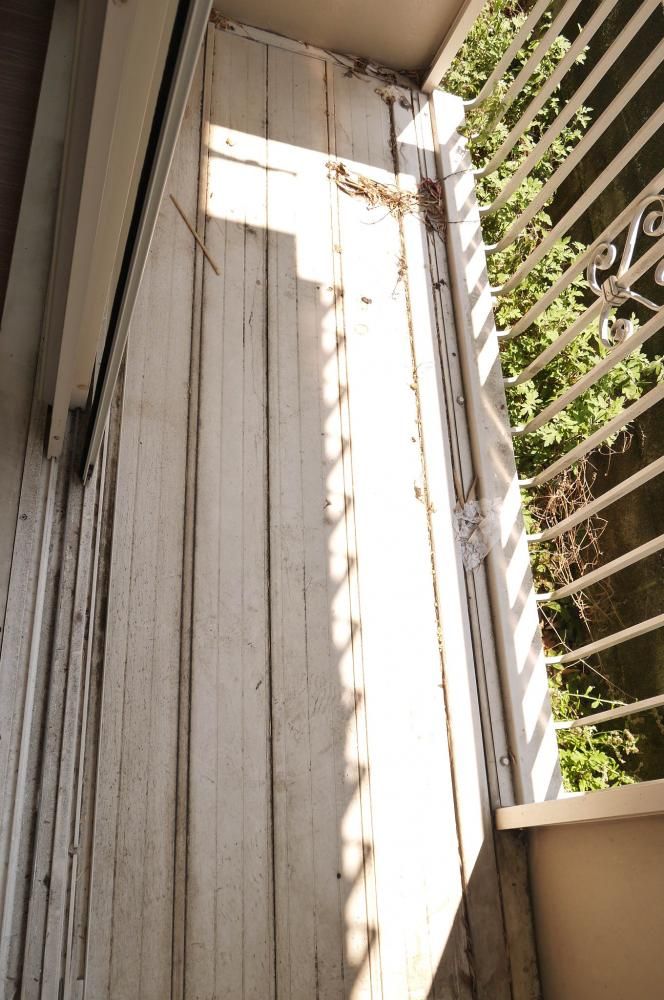 �y�x�����_�z�@