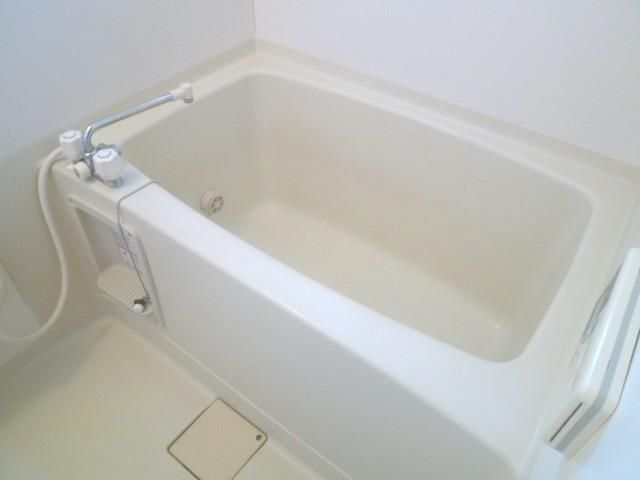 �y�o�X�z�@