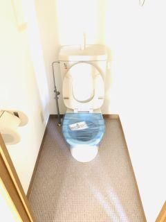 �y�g�C���z�@