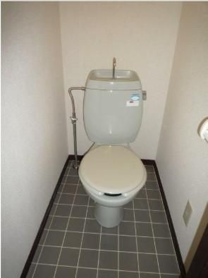 �y�g�C���z�@�����̂������̎ʐ^�ł��B