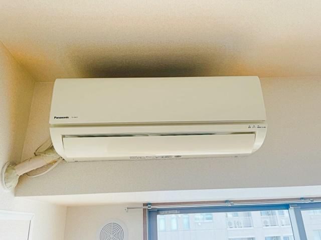 �y���̑��ݔ��z�@�ʂ̂������̎ʐ^�ł��B