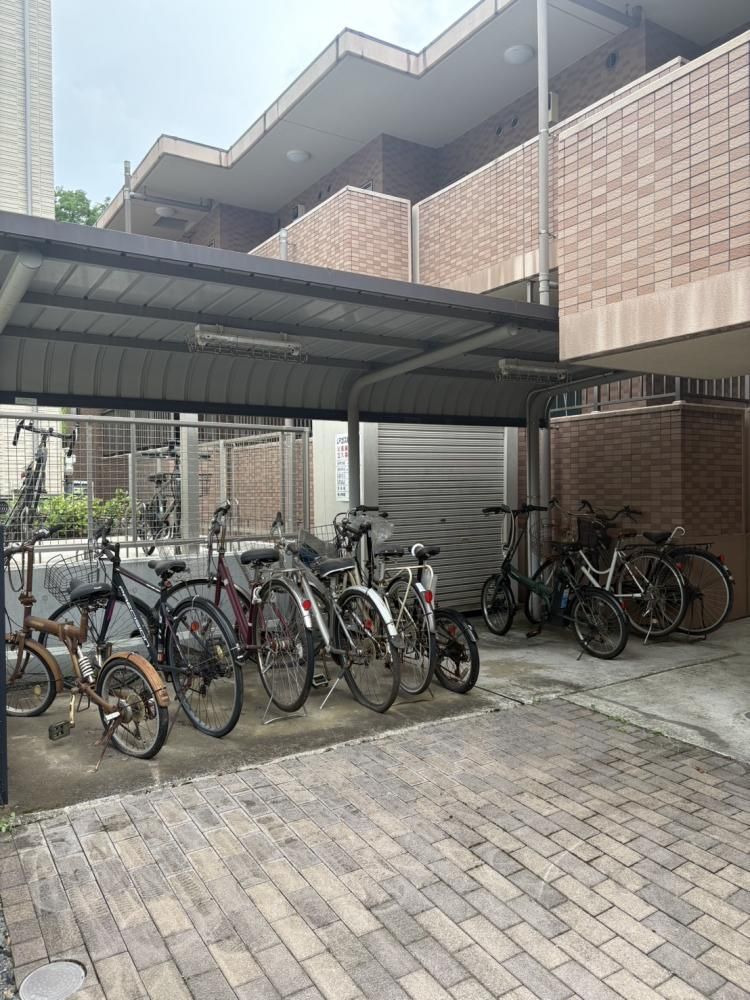 �y���̑����L�����z�@